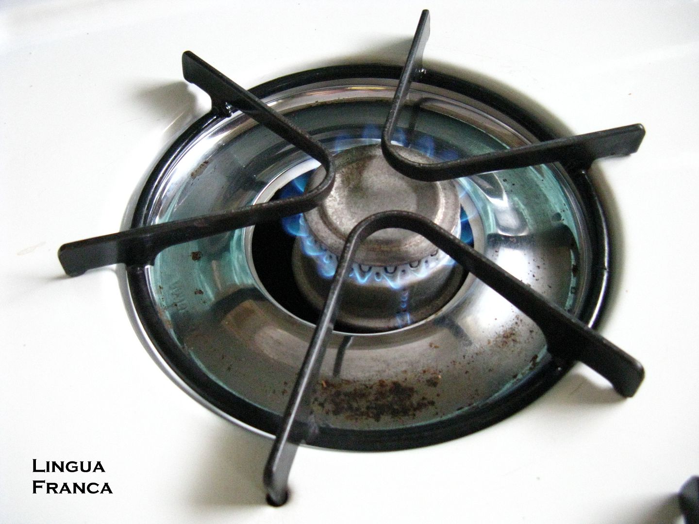 Putting It On the Back Burner Lingua Franca